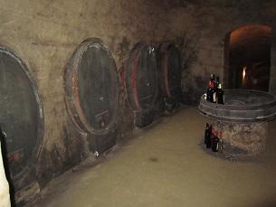 EKSKURZIJA NA SPODNJEPOSAVSKO