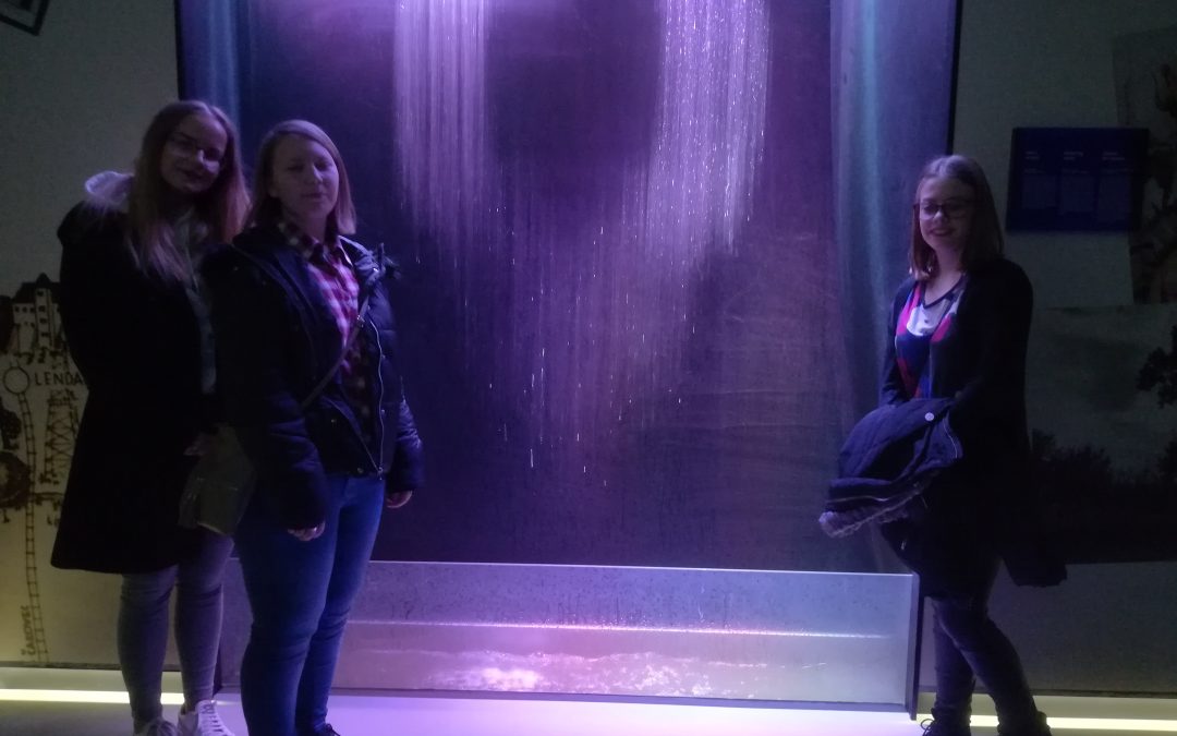 Strokovna ekskurzija